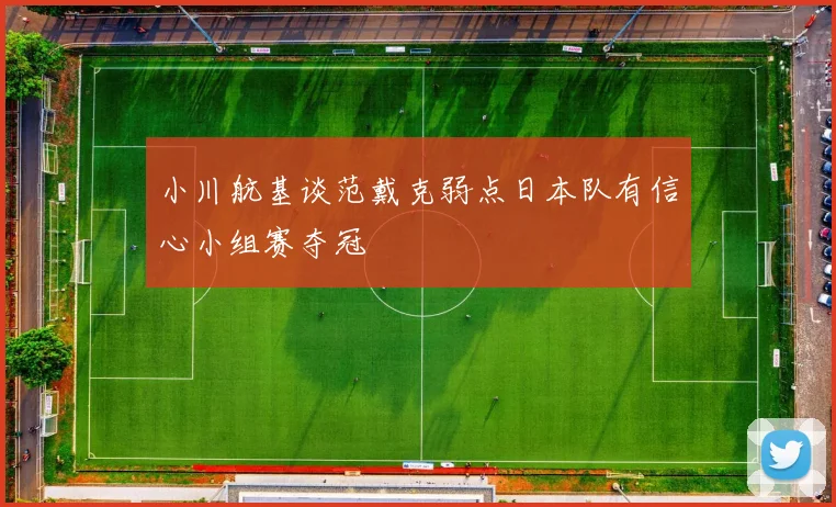 小川航基谈范戴克弱点日本队有信心小组赛夺冠